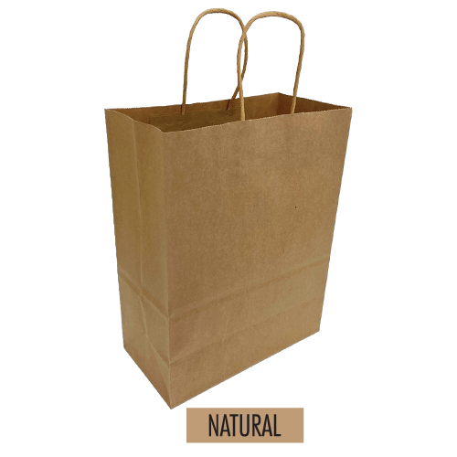 Plain/Blank Kraft Paper Bags with Handles - Bulk 250pcs per Box - Vanity Size 10"W x 5"D x 13"H